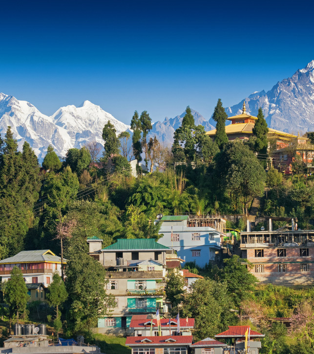 Alpine Sikkim
