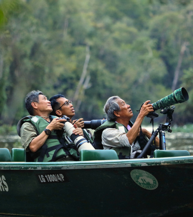 Borneo