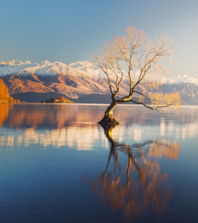 New Zealand