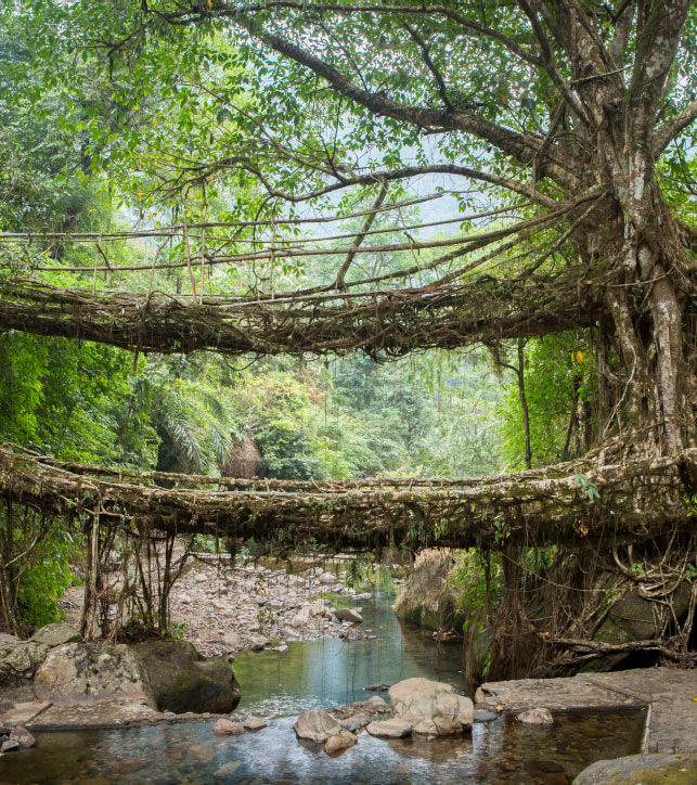 North East India